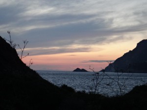 DSC04985